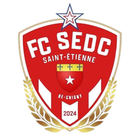 Logo du Saint Etienne de Chigny Football
