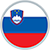 Logo du Slovénie Futsal - SENIOR M1