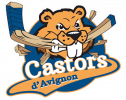 Logo FOOTBALL CLUB AVIGNON