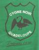 Logo Cygne Noir Football