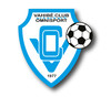 Logo Vahibe Club Omnisport