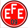 Logo Entraide Franco Egeenne