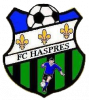 Logo Haspres Football Club