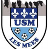 Logo Us Meenne