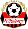 Logo Fc Salency