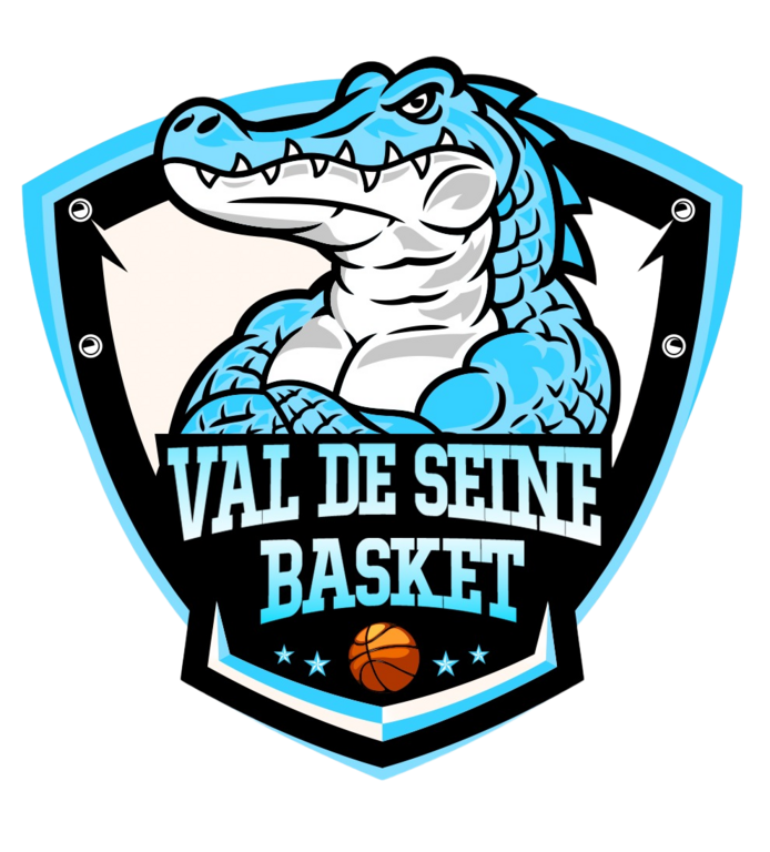 Logo du Val de Seine Basket