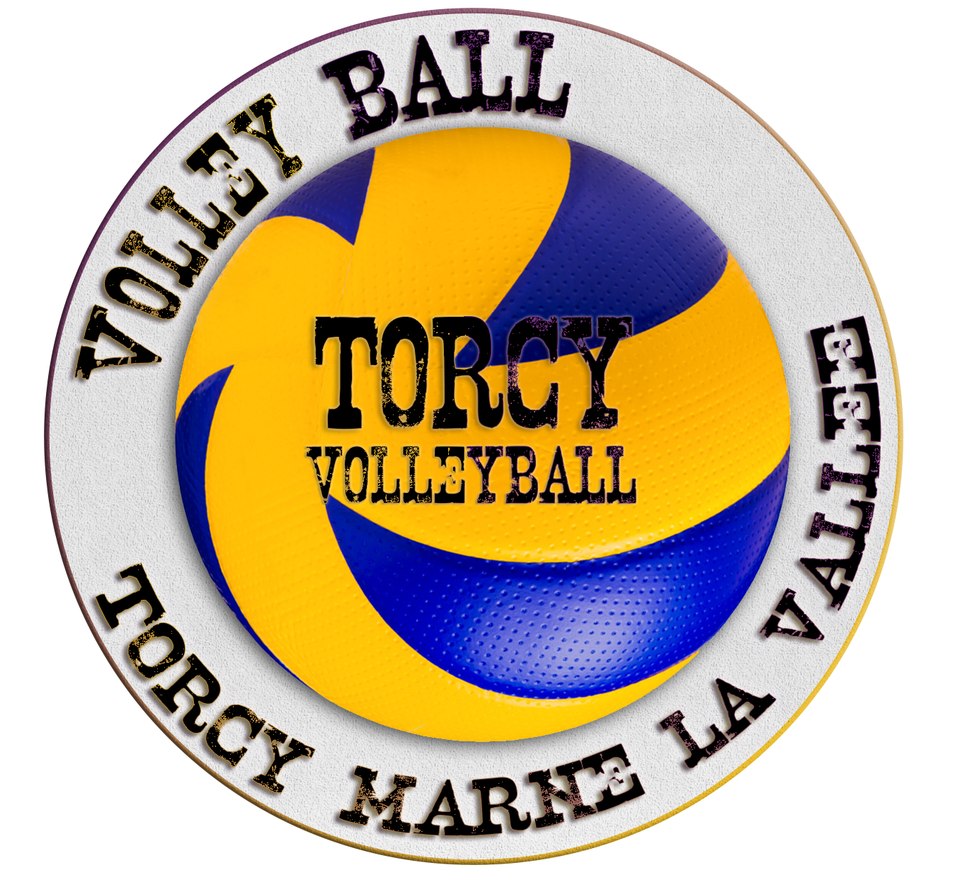 Logo du VB Torcy Marne la Vallee 3