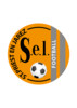 Logo du Sous Ecoles Laiq. St Priest 3