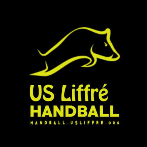 Logo du USL Handball U18 Féminines