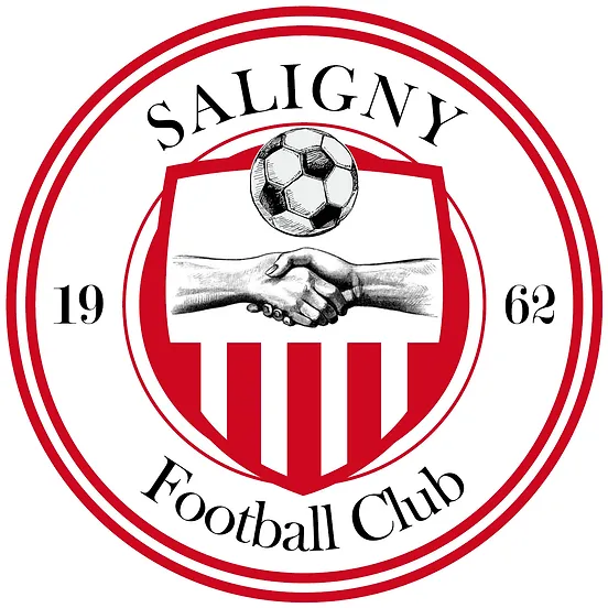 Logo du Football Club Salignais de Belle