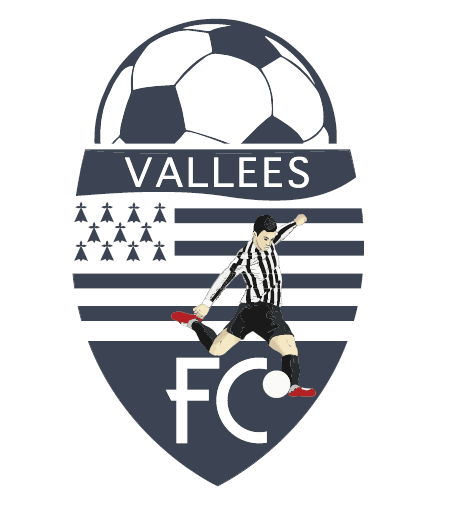 Logo du Les Vallees Football Club 4