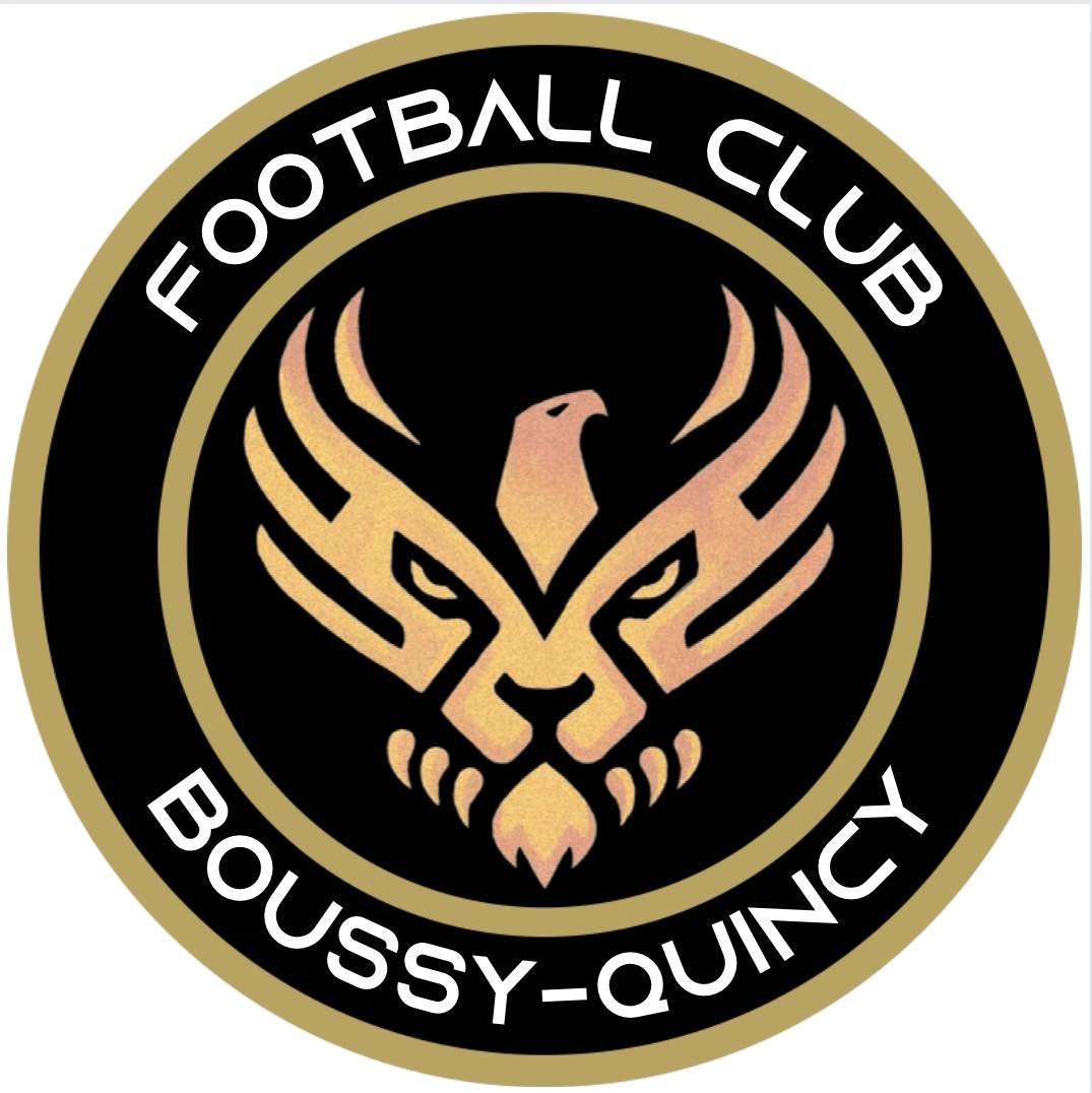 Logo du Boussy-Quincy FC 2 U16