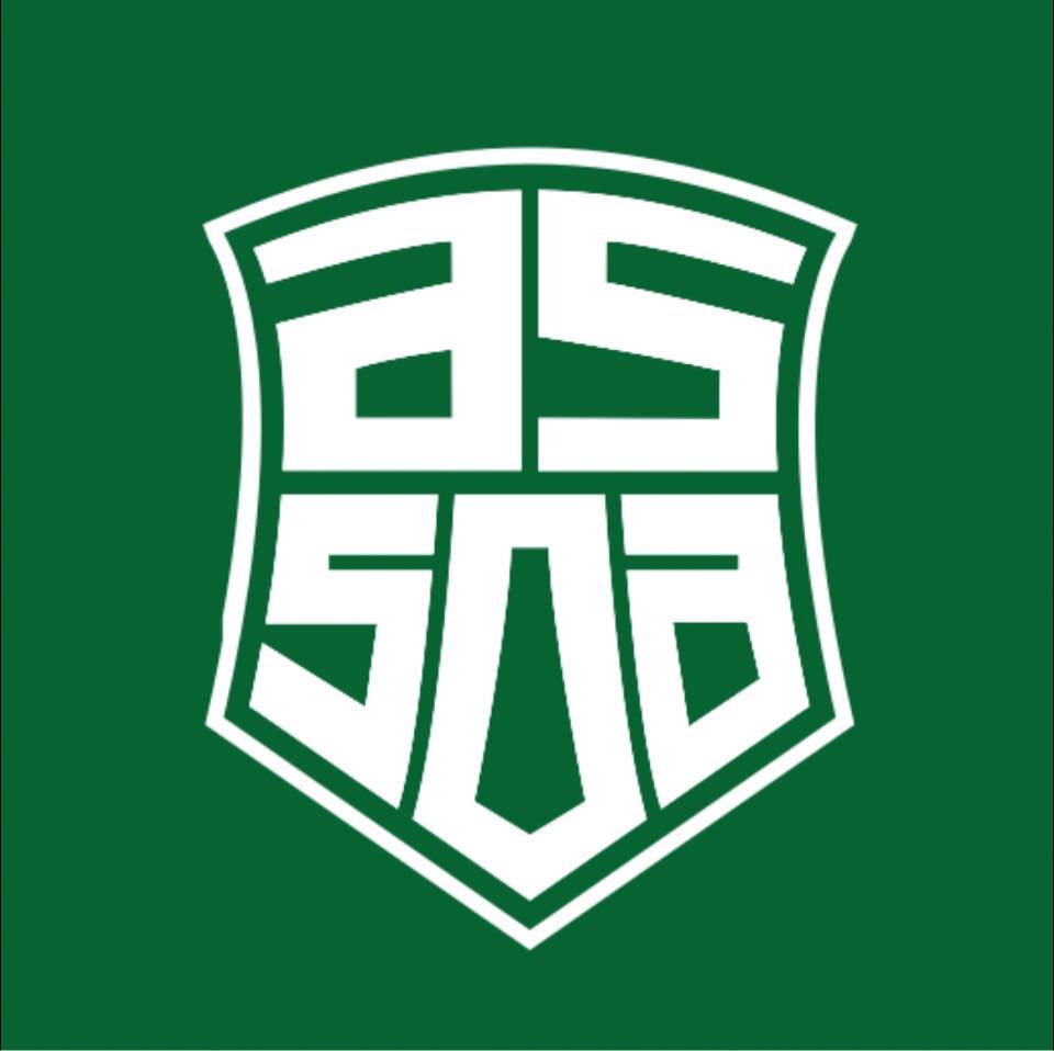 Logo du AS St Ouen l'Aumône 3