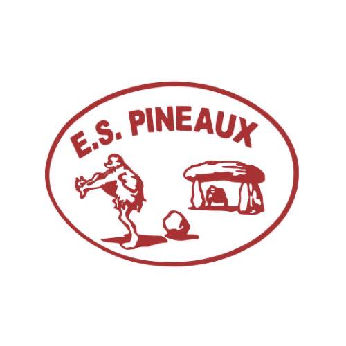 Logo du Les Pineaux ES