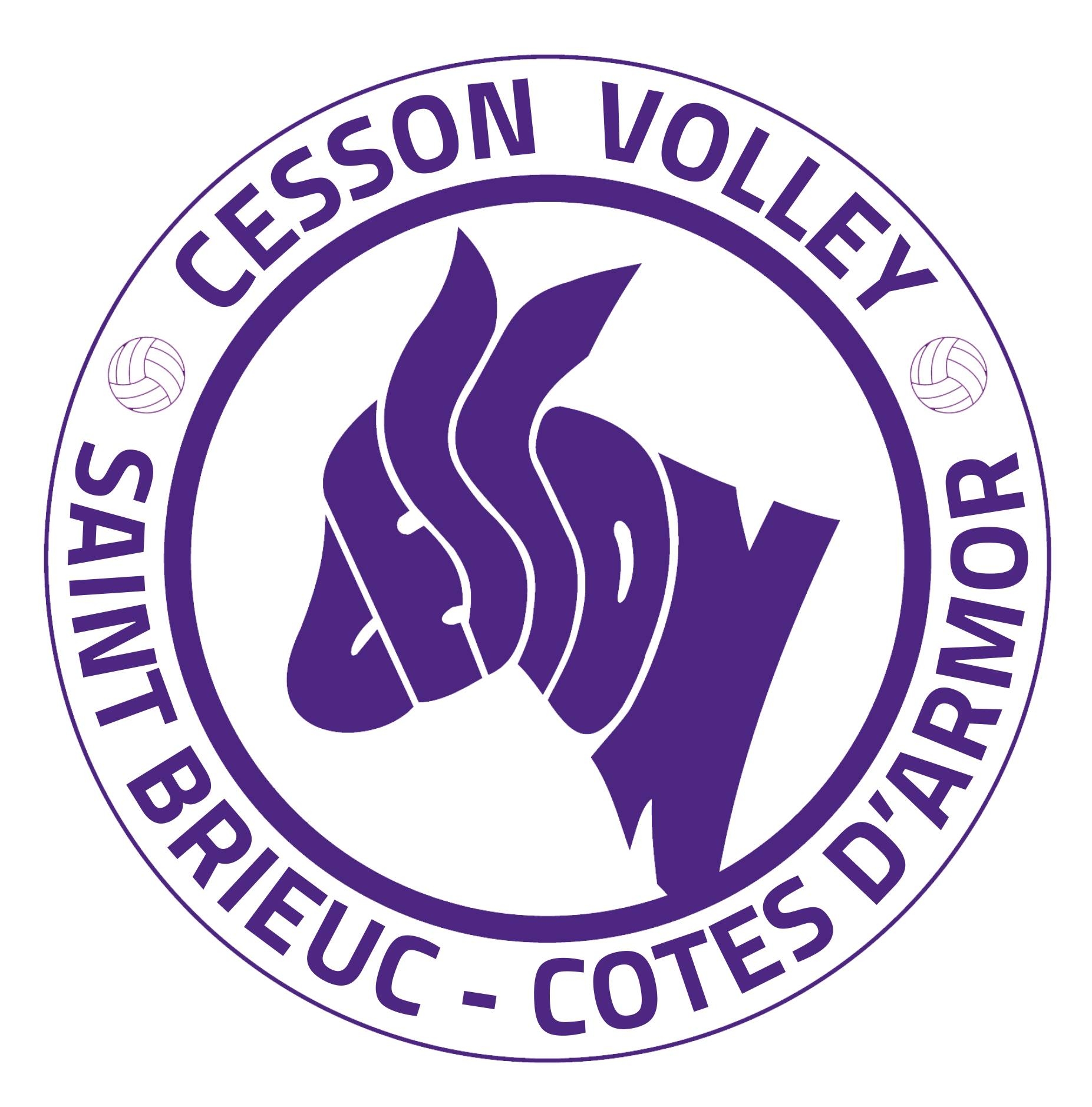 Logo du Cesson St-Brieuc Côtes d'Armor VB