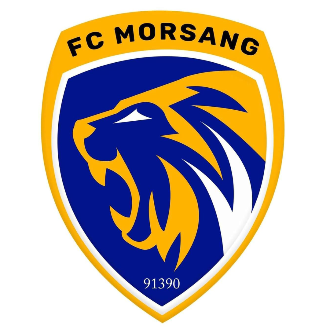 Logo du FC Morsang sur Orge 3