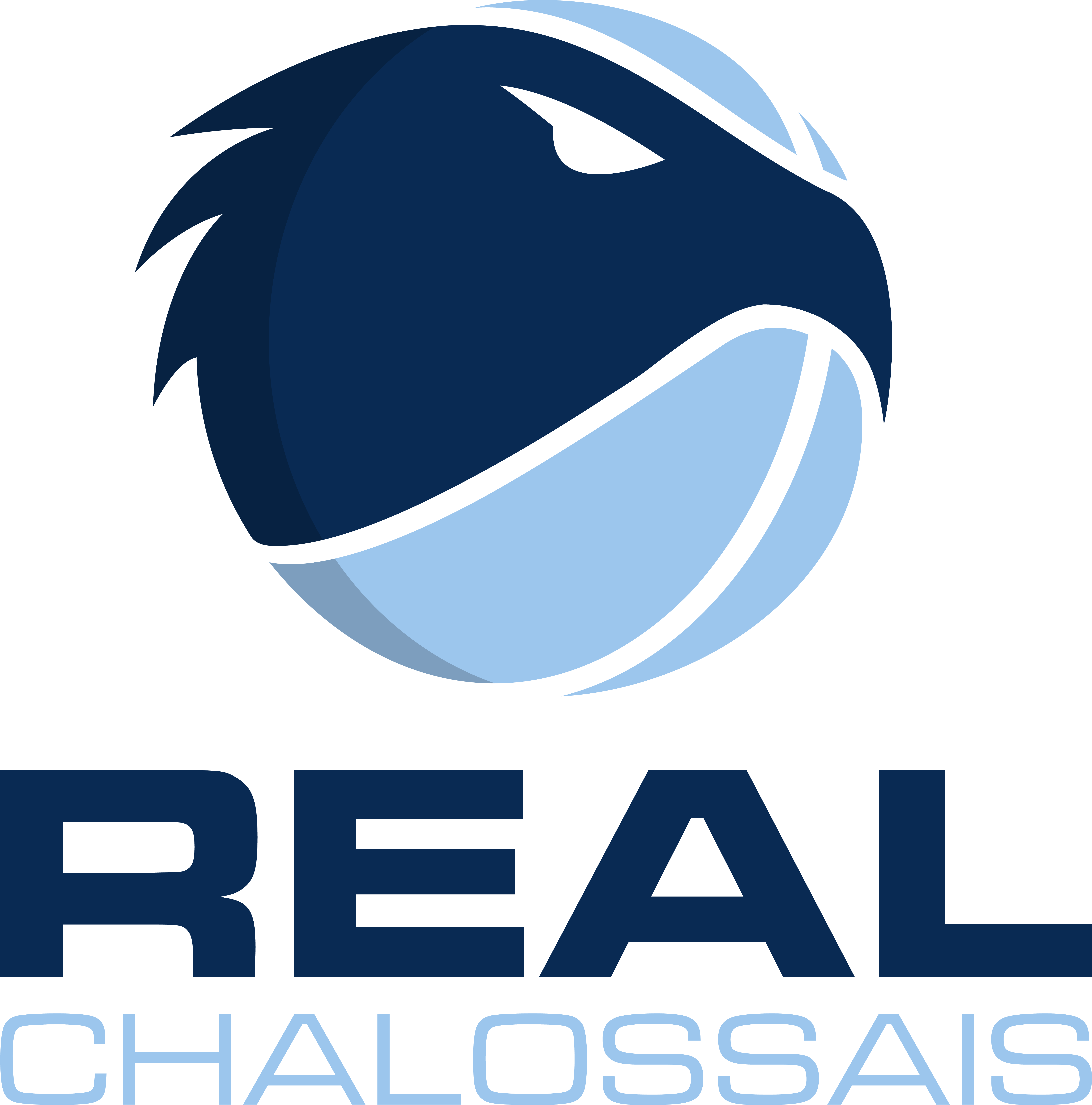 Logo du Real Chalossais 2