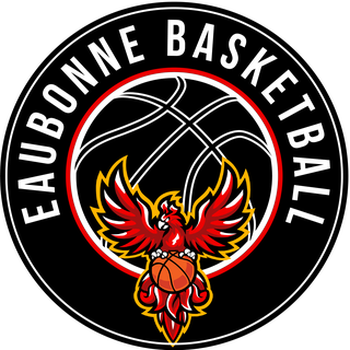 Logo du CSM Eaubonne Basket
