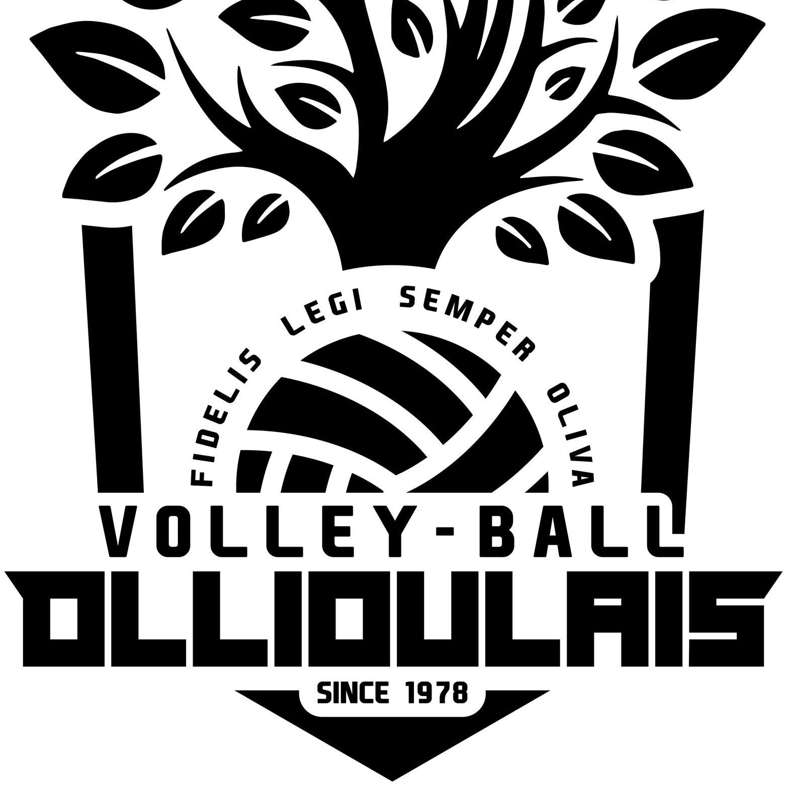 Logo du Volley Ball Ollioulais 4