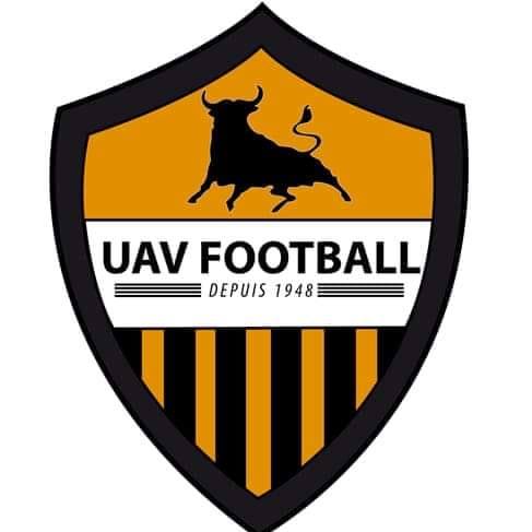 Logo du UA Vic Fezensac