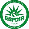 Logo Espoir Ste Luce