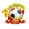 Logo As Dragon