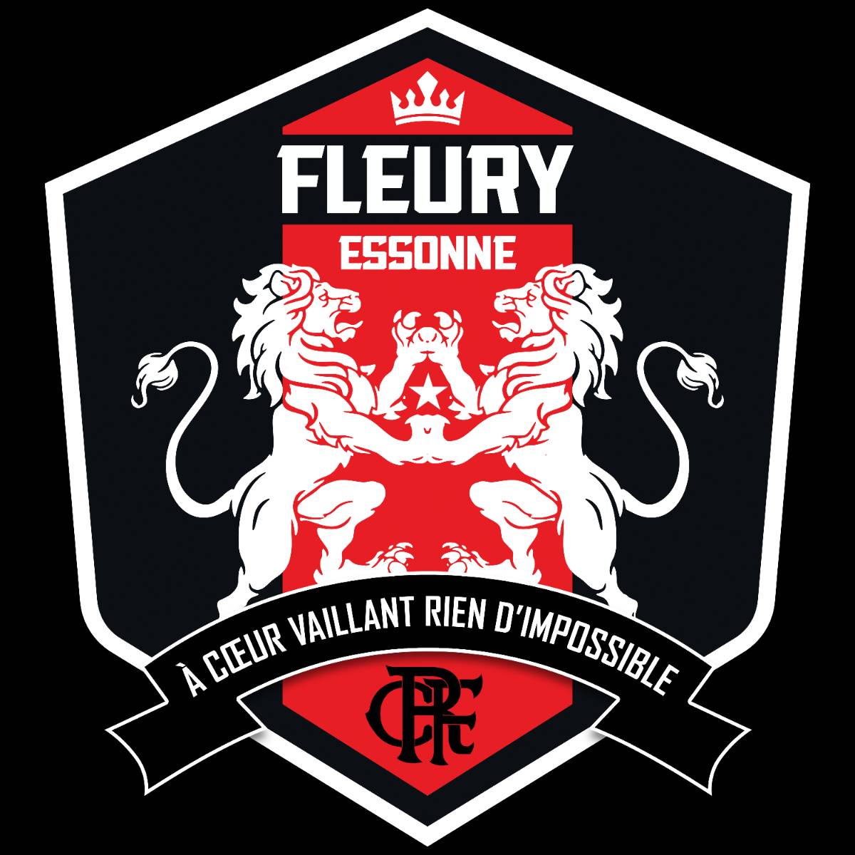 Logo Fc Fleury 91